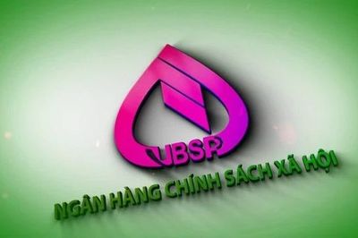 Thủ tướng bổ nhiệm Tổng Giám đốc Ngân hàng Chính sách xã hội