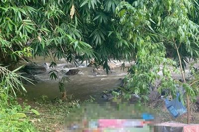 Tìm thấy thi thể bé trai mất tích trong rừng