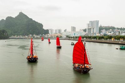 Vi vu thuyền buồm ba vách ngắm vịnh Hạ Long