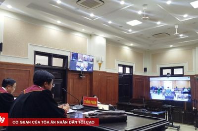 Tòa Phúc thẩm TANDTC tại Đà Nẵng xét xử trực tuyến hai vụ án lừa đảo chiếm đoạt tài sản