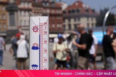 WHO: 1.300 ca tử vong tại châu Âu liên quan đến nắng nóng