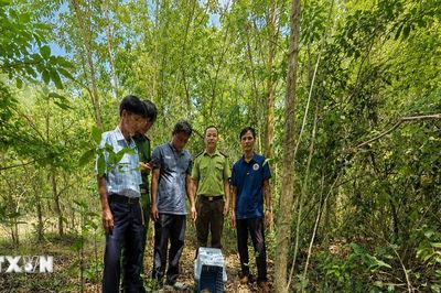 Tây Ninh: Thả cá thể Tê tê Java quý hiếm về lại môi trường tự nhiên