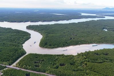 Triển khai dự án du lịch sinh thái đầu tiên tại rừng phòng hộ Cần Giờ