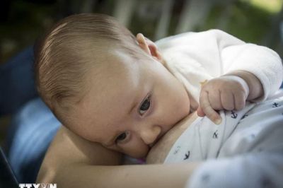 Phát hiện thêm tác dụng thần kì của sữa mẹ