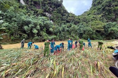 Mưa lớn gây lũ quét và sạt lở đất tại Tuyên Quang