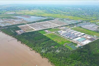 Đồng Tháp chấp thuận dự án khu công nghiệp dầu khí gần 2.750 tỷ đồng