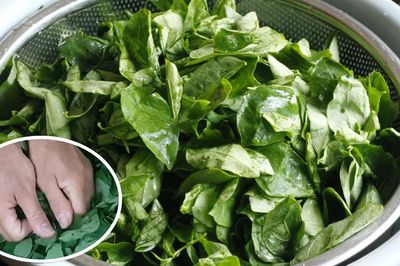 Ăn nắm rau này 'bổ ngang thịt bò', ở quê mọc um tùm nhiều người không biết mà ăn