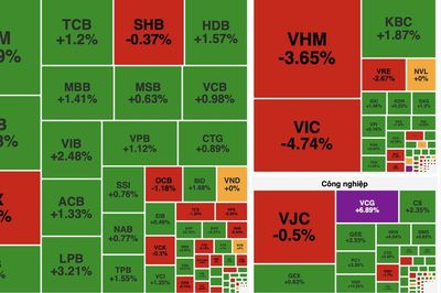 Bất động sản gây sức ép, VN-Index giảm gần 17 điểm dù nhiều nhóm ngành khởi sắc