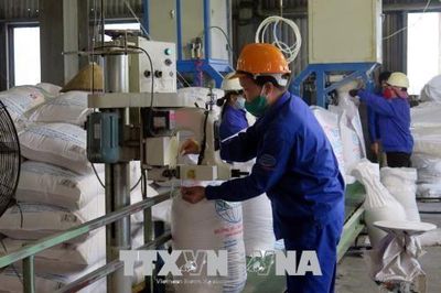 Công bố kết quả rà soát mới nhất về chống lẩn tránh đường mía