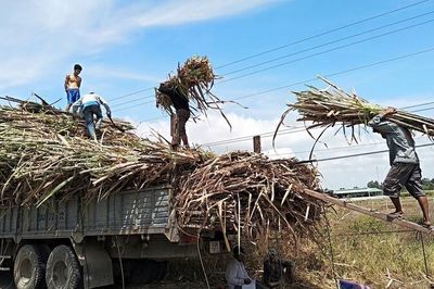 Bộ Công Thương công bố kết quả rà soát mới nhất về chống lẩn tránh đường mía