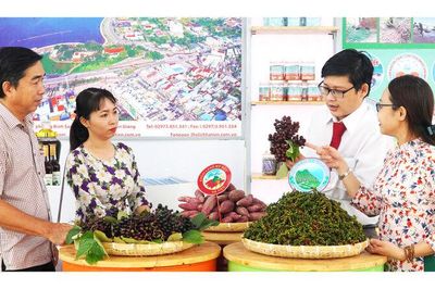 Cầu nối đưa chủ trương vào cuộc sống