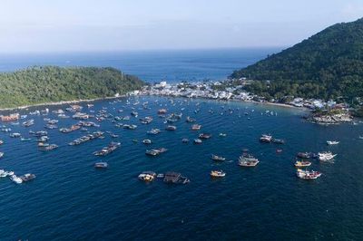 Đảo xanh gần bờ