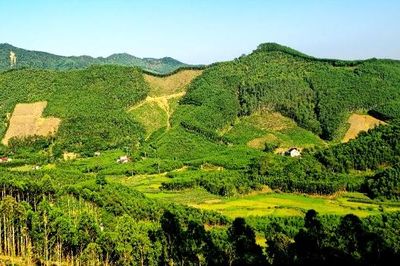 Bắc Ninh: Rà soát, xác định thôn vùng đồng bào dân tộc thiểu số và miền núi
