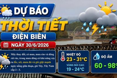 Bản tin Dự báo thời tiết ngày 30/6/2026