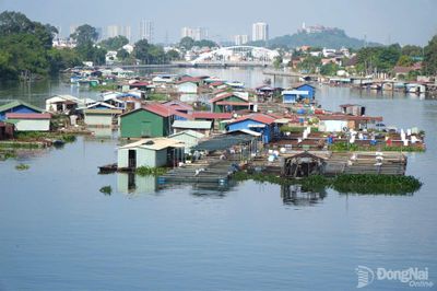 Giải tỏa nuôi cá bè để phát triển đô thị xanh