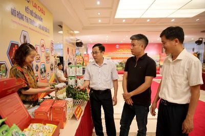 Lai Châu sẵn sàng Hội nghị xúc tiến đầu tư năm 2026, chào đón các nhà đầu tư bằng tinh thần chủ động hợp tác, kết nối lan tỏa tiềm năng, lợi thế đặc trưng