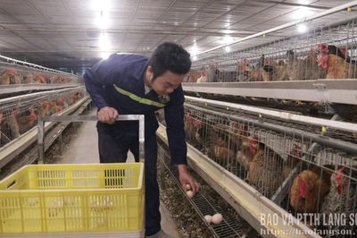 Nâng chất lượng hợp tác xã
