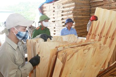 Hợp sức đẩy lùi ma túy