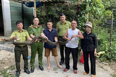 Lào Cai: Người dân tự nguyện bàn giao trăn hoang dã, khỉ đuôi lợn quý hiếm cho cơ quan chức năng
