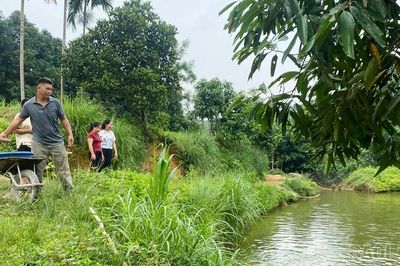 Những 'hạt nhân' lan tỏa phong trào sản xuất, kinh doanh giỏi ở Mậu A