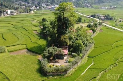 Đền thiêng dưới chân núi Đán Tượng