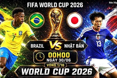 Nhận định, dự đoán tỷ số Brazil vs Nhật Bản (0h ngày 30/6), vòng 1/16 World Cup 2026