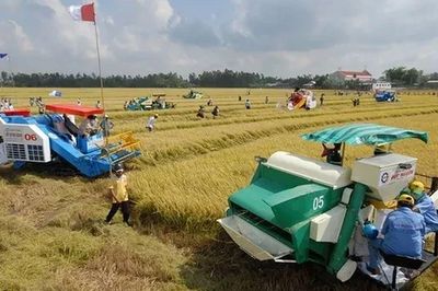 Góc nhìn văn hóa: Sống 'thuận thiên' - Chìa khóa phát triển bền vững Đồng bằng sông Cửu Long