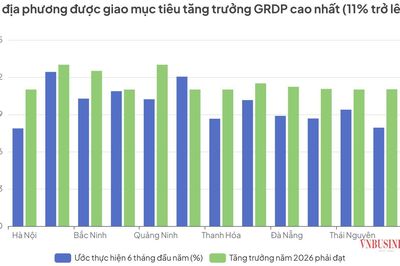 Chính phủ giao 12 địa phương tăng trưởng từ 11% trở lên để đạt mục tiêu GDP 10%