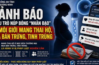 Chiêu trò núp bóng 'nhân đạo' để môi giới mang thai hộ, mua bán trứng