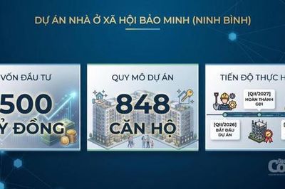 Ninh Bình chấp thuận chủ trương đầu tư dự án Nhà ở xã hội Bảo Minh