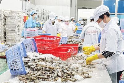Giải pháp để nông nghiệp Việt Nam 'cán đích' xuất khẩu 74 tỷ USD