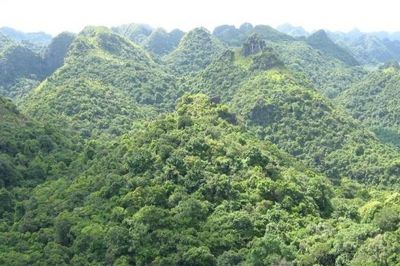 Vườn quốc gia Cát Bà: Bảo tồn nghiêm ngặt giá trị di sản và khai thác thông minh tài nguyên thiên nhiên