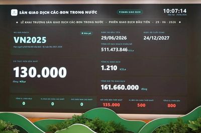 Sàn giao dịch carbon Việt Nam chính thức vận hành