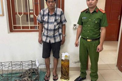 Khởi tố Bùi Ngọc Tài do tàng trữ rượu ngâm tay gấu