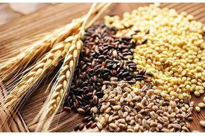 Người sau 50 tuổi nên duy trì 5 nguyên tắc ăn uống này để khỏe mạnh khi về già