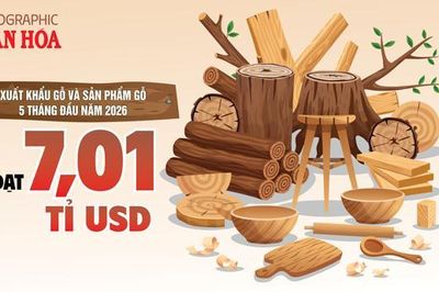 Xuất khẩu gỗ 5 tháng đầu năm 2026 đạt 7,01 tỉ USD, Trung Quốc tăng gần 49%