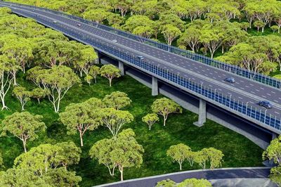 Khởi công đường liên vùng qua Khu sinh quyển Đồng Nai: Đột phá hạ tầng không đánh đổi môi trường