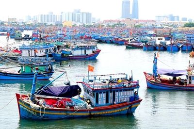 Phạt tối đa 2 tỷ đồng với hành vi vi phạm hành chính lĩnh vực thủy sản