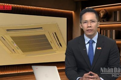 [Video] Tiêu điểm 30/6: Điều hòa - Giải pháp hay thủ phạm của nắng nóng?