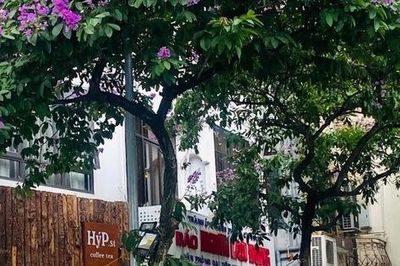 NHỮNG CÂU CHUYỆN NHỎ: Ngày cuối, vẫn tưới cây