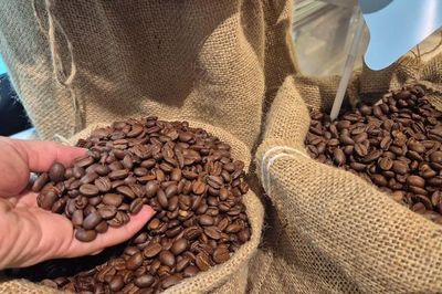 Giá cà phê hôm nay, 30-6: Arabica bật tăng, Robusta sụt giảm