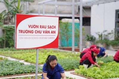 Cùng gieo thói quen sống khỏe từ bữa ăn học đường