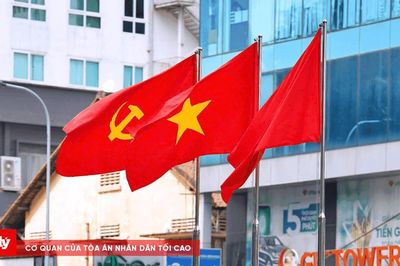 TP.HCM rực rỡ cờ hoa mừng 50 năm Sài Gòn - Gia Định mang tên Bác