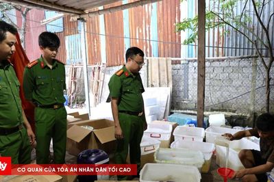 Khởi tố 2 đối tượng trong đường dây sản xuất sữa tắm, dầu gội giả