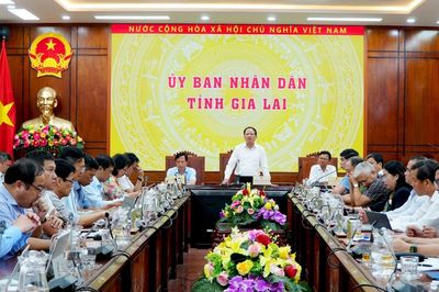Tăng trưởng 2 con số: 6 tháng, Gia Lai thu hút hơn 163.000 tỷ đồng vốn đầu tư