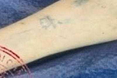 Cảnh sát truy tìm lai lịch thi thể có hình xăm vương miện trên cánh tay