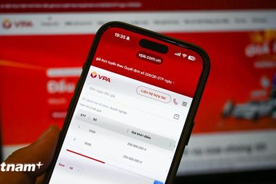 Hai mã, số viễn thông được đưa ra đấu giá khởi điểm từ 250 triệu đồng