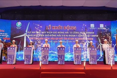 Cà Mau: Khởi động hai dự án điện gió gần 5.400 tỷ đồng