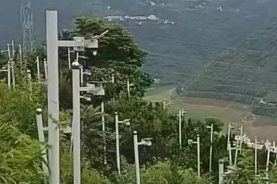 Nông dân 'trồng' hơn 170 camera phủ kín đồi để đòi thêm tiền bồi thường
