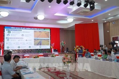 Nông nghiệp An Giang: Chuyển đổi 136.000 ha đất theo hướng linh hoạt